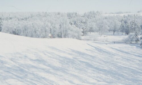 2026ミラノ・コルティナ五輪を振り返る